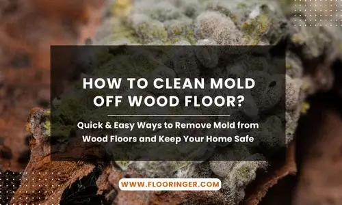 how to clean mold off wood floor