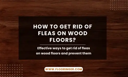 how to get rid of fleas wood floors