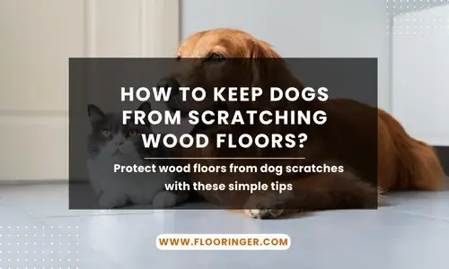 how to keep dogs from scratching wood floors